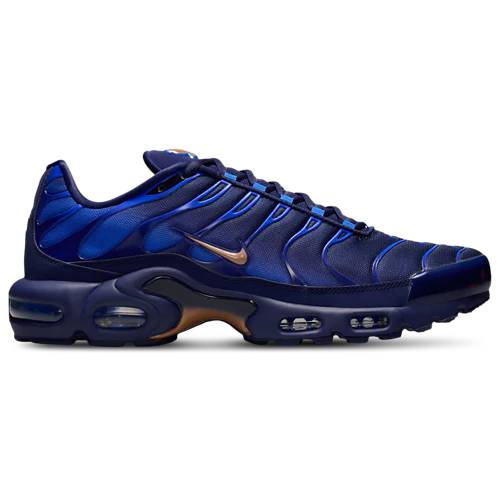 Nike Air Max Plus Tuned 1 French Football Federation
